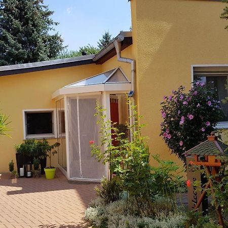 Ferienhaus Koehler Wittenberg Zewnętrze zdjęcie